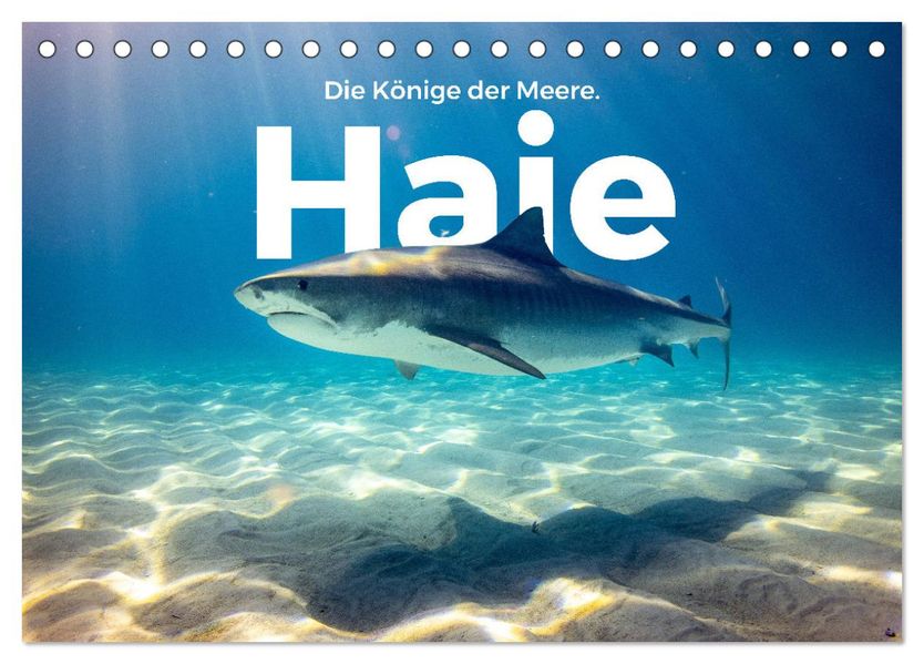 Haie - Könige der Meere. (Tischkalender 2027 DIN A5 quer) CALVENDO Monatskalender