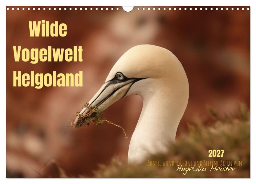 Wilde Vogelwelt Helgoland (Wandkalender 2027 DIN A3 quer) CALVENDO Monatskalender