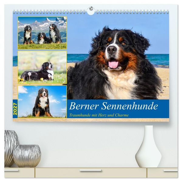Berner Sennenhunde - Traumhunde mit Charme (hochwertiger Premium Wandkalender 2027 DIN A2 quer) Kunstdruck in Hochglanz