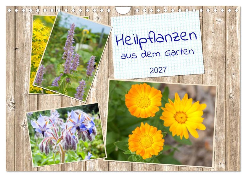 Heilpflanzen aus dem Garten (Wandkalender 2027 DIN A4 quer) CALVENDO Monatskalender
