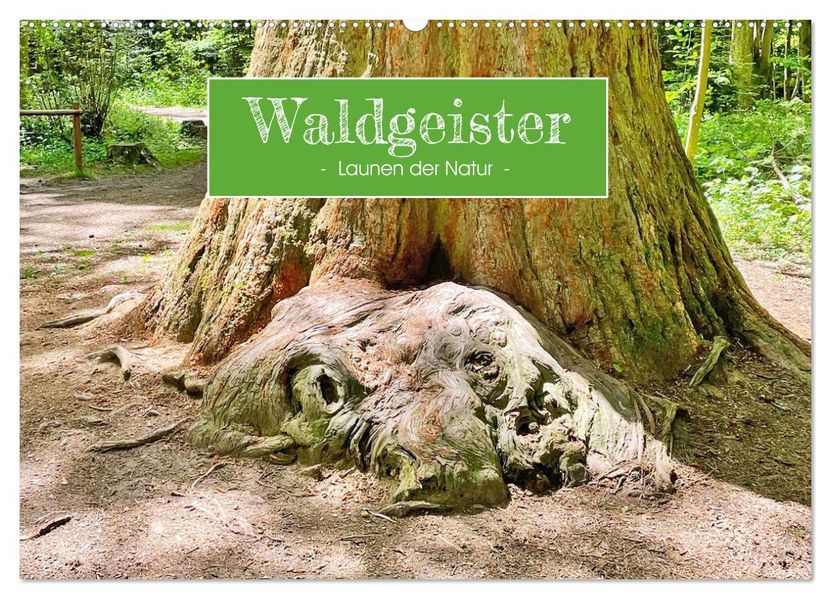 Waldgeister - Launen der Natur (Wandkalender 2027 DIN A2 quer) CALVENDO Monatskalender