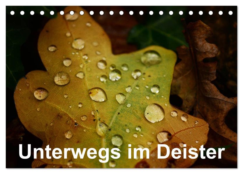 Unterwegs im Deister (Tischkalender 2027 DIN A5 quer) CALVENDO Monatskalender