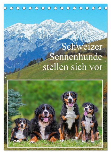 Schweizer Sennenhunde stellen sich vor (Tischkalender 2027 DIN A5 hoch) CALVENDO Monatskalender