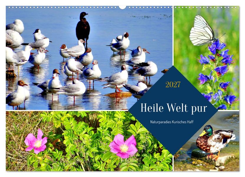 Heile Welt pur - Naturparadies Kurisches Haff (Wandkalender 2027 DIN A2 quer) CALVENDO Monatskalender