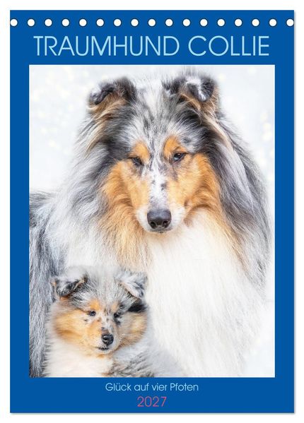 Traumhund Collie - Glück auf vier Pfoten (Tischkalender 2027 DIN A5 hoch) CALVENDO Monatskalender