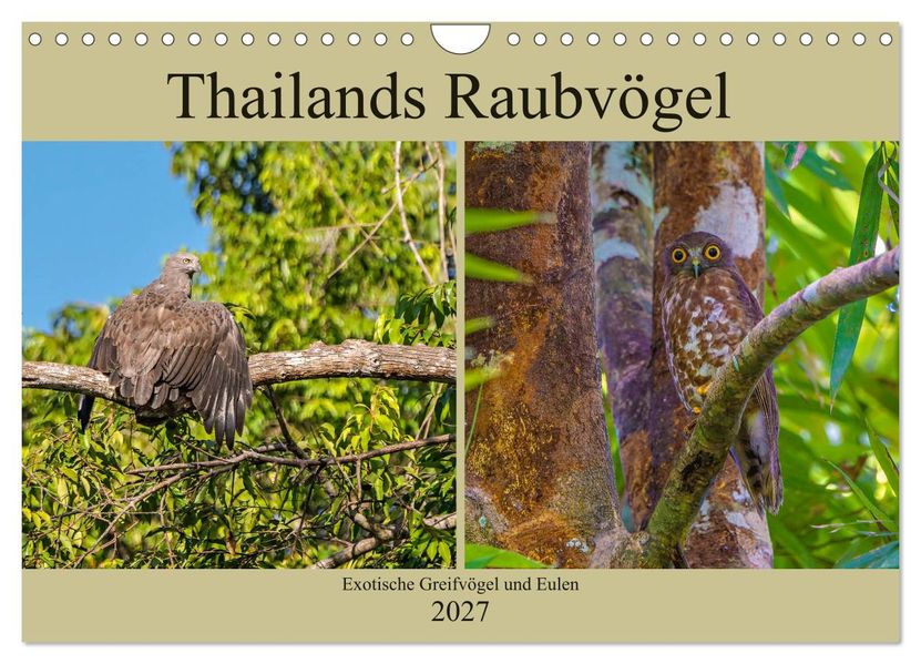 THAILANDS RAUBVÖGEL Exotische Greifvögel und Eulen (Wandkalender 2027 DIN A4 quer) CALVENDO Monatskalender