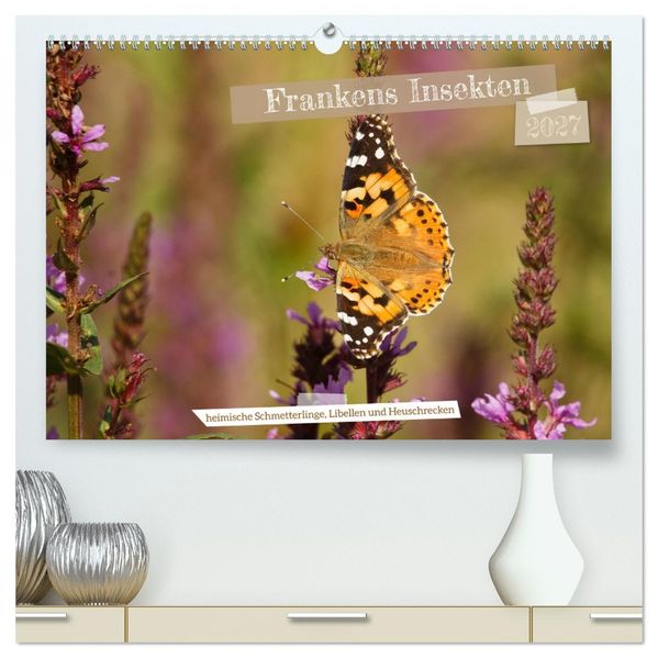 Frankens Insekten (hochwertiger Premium Wandkalender 2027 DIN A2 quer) Kunstdruck in Hochglanz