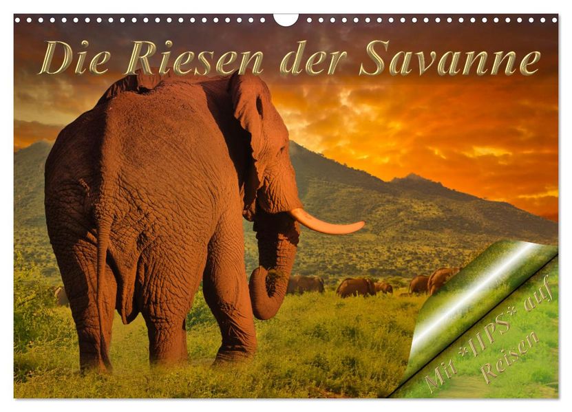 Die Riesen der Savanne (Wandkalender 2027 DIN A3 quer) CALVENDO Monatskalender