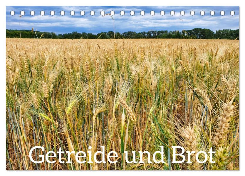 Getreide und Brot (Tischkalender 2027 DIN A5 quer) CALVENDO Monatskalender