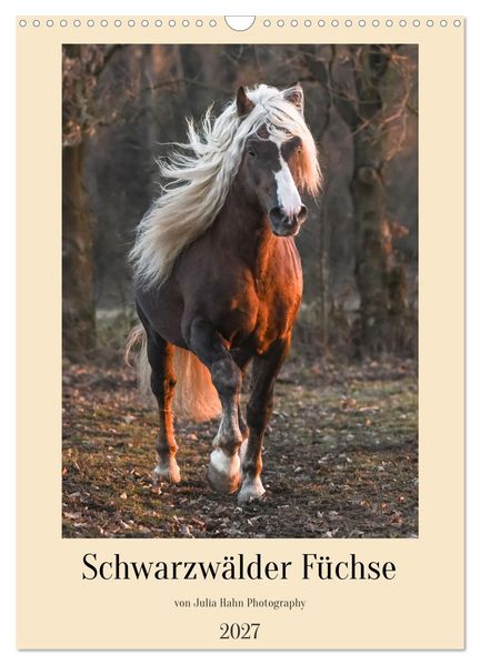 Schwarzwälder Füchse von Julia Hahn Photography (Wandkalender 2027 DIN A3 hoch) CALVENDO Monatskalender