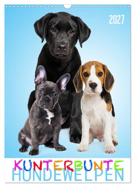 Kunterbunte Hundewelpen (Wandkalender 2027 DIN A3 hoch) CALVENDO Monatskalender