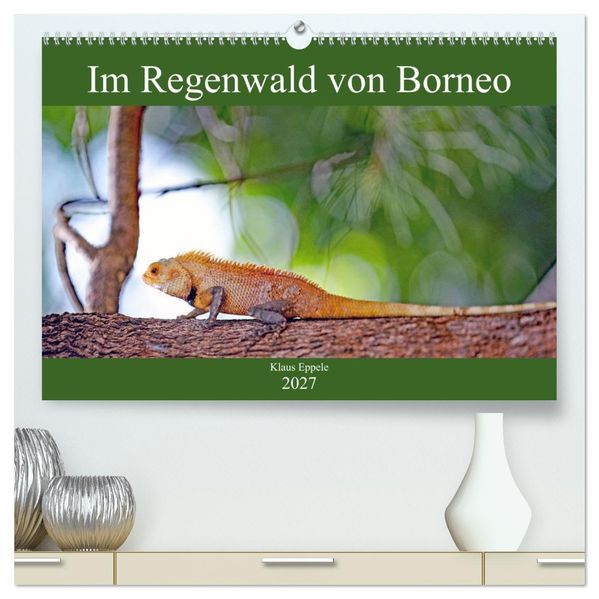 Im Regenwald von Borneo (hochwertiger Premium Wandkalender 2027 DIN A2 quer) Kunstdruck in Hochglanz