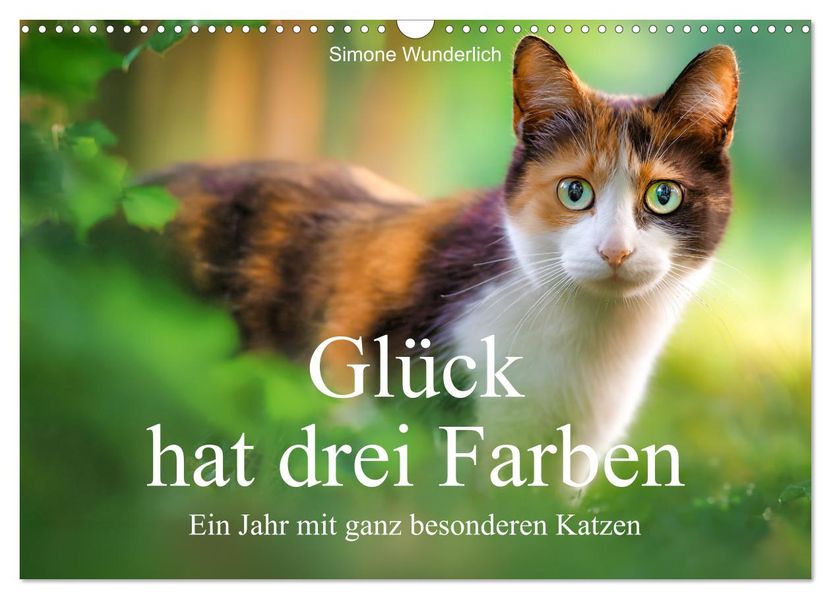 Glück hat drei Farben - ein Jahr mit ganz besonderen Katzen (Wandkalender 2027 DIN A3 quer) CALVENDO Monatskalender