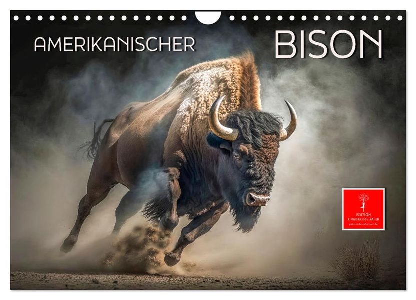 Amerikanischer Bison (Wandkalender 2027 DIN A4 quer) CALVENDO Monatskalender