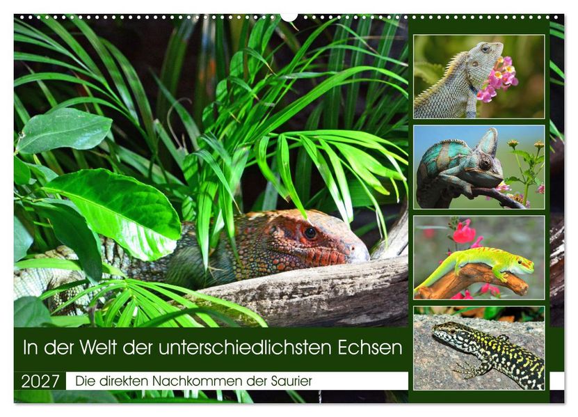 In der Welt der unterschiedlichsten Echsen (Wandkalender 2027 DIN A2 quer) CALVENDO Monatskalender