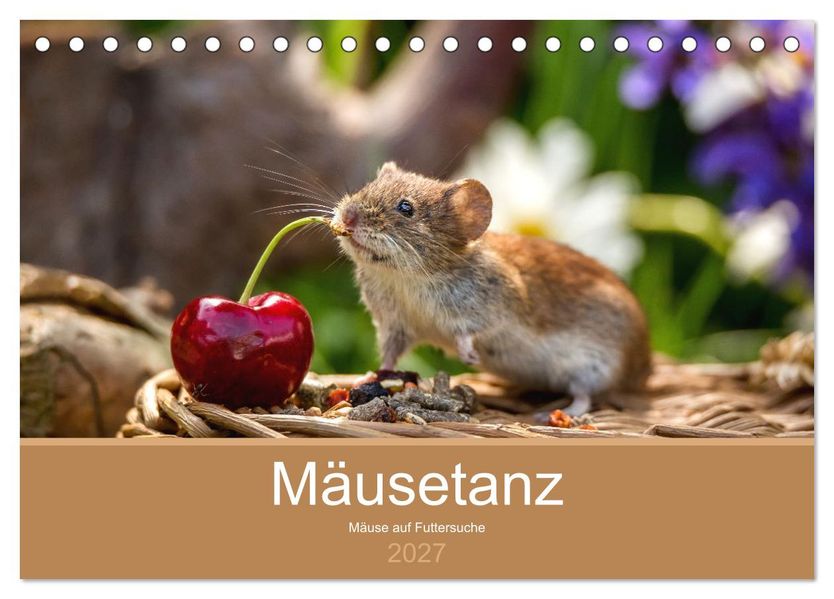 Mäusetanz (Tischkalender 2027 DIN A5 quer) CALVENDO Monatskalender