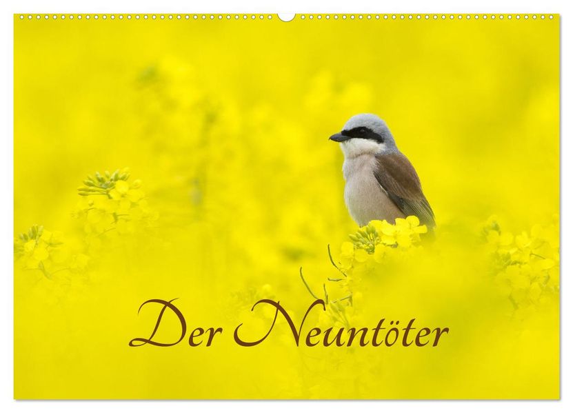 Der Neuntöter (Wandkalender 2027 DIN A2 quer) CALVENDO Monatskalender