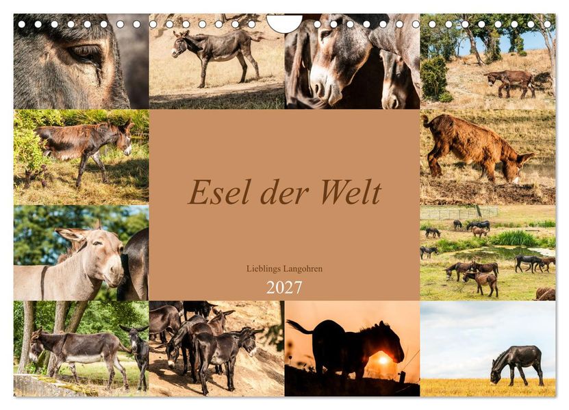 Esel der Welt - Lieblings Langohren (Wandkalender 2027 DIN A4 quer) CALVENDO Monatskalender
