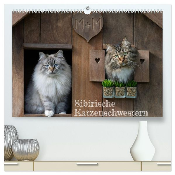 Maui und Molokai - Sibirische Katzenschwestern (hochwertiger Premium Wandkalender 2027 DIN A2 quer) Kunstdruck in Hochglanz