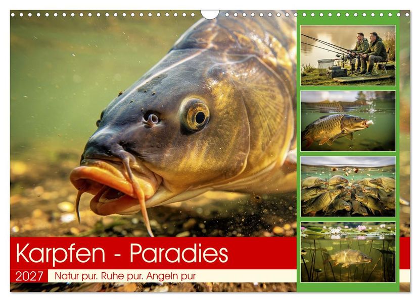 Karpfen - Paradies (Wandkalender 2027 DIN A3 quer) CALVENDO Monatskalender