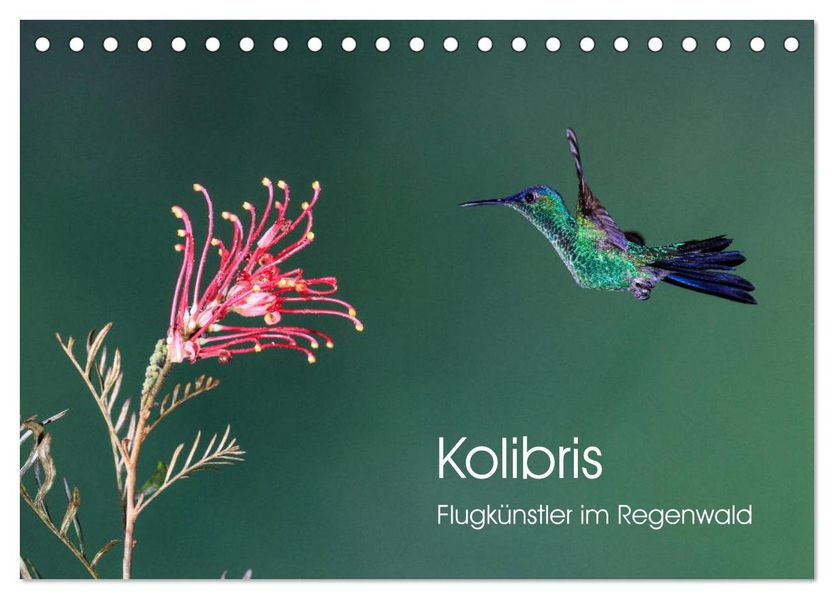 Kolibris - Flugkünstler im Regenwald (Tischkalender 2027 DIN A5 quer) CALVENDO Monatskalender