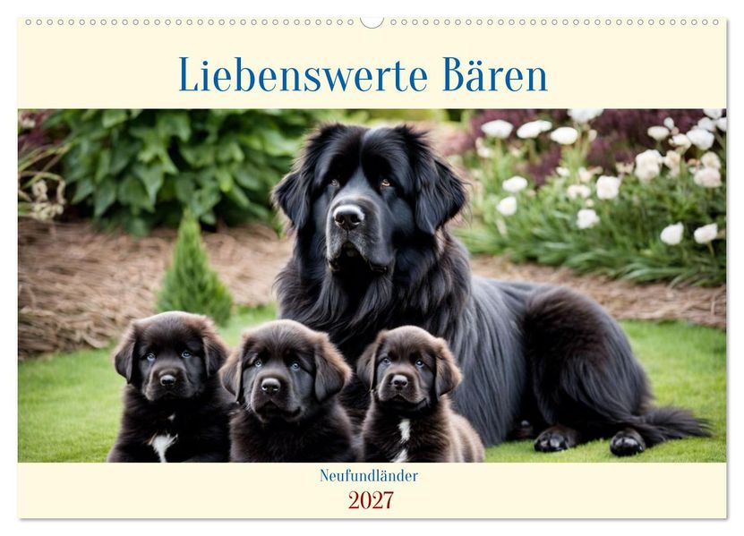 Neufundländer - Liebenswerte Bären (Wandkalender 2027 DIN A2 quer) CALVENDO Monatskalender