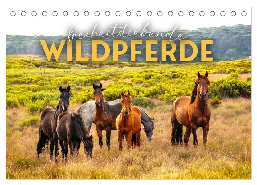 Freiheitsliebende Wildpferde (Tischkalender 2027 DIN A5 quer) CALVENDO Monatskalender