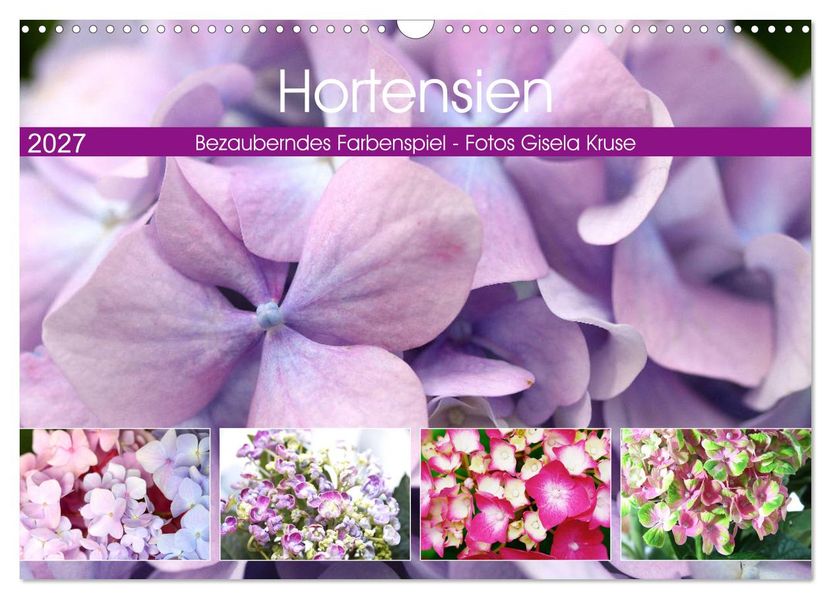 Hortensien Bezauberndes Farbenspiel (Wandkalender 2027 DIN A3 quer) CALVENDO Monatskalender