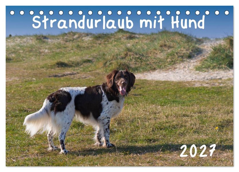 Strandurlaub mit Hund (Tischkalender 2027 DIN A5 quer) CALVENDO Monatskalender