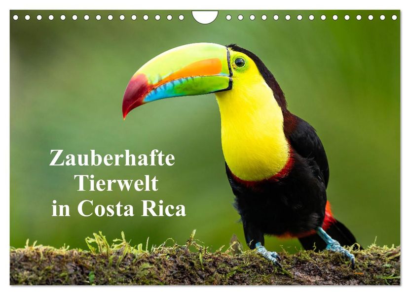 Zauberhaft Tierwelt in Costa Rica (Wandkalender 2027 DIN A4 quer) CALVENDO Monatskalender
