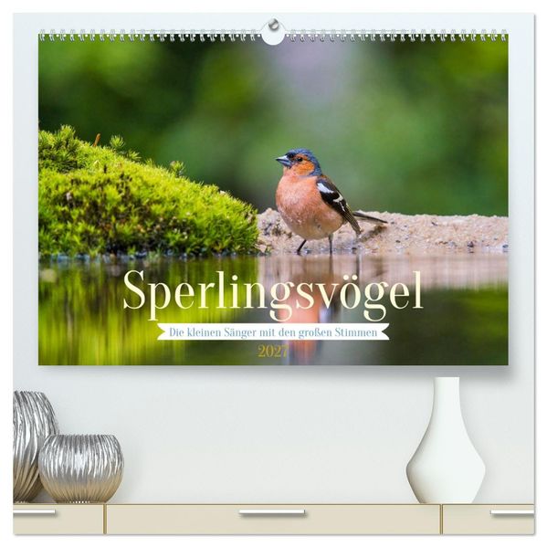 Sperlingsvögel - Die kleinen Sänger mit den großen Stimmen (hochwertiger Premium Wandkalender 2027 DIN A2 quer) Kunstdruck in Hochglanz