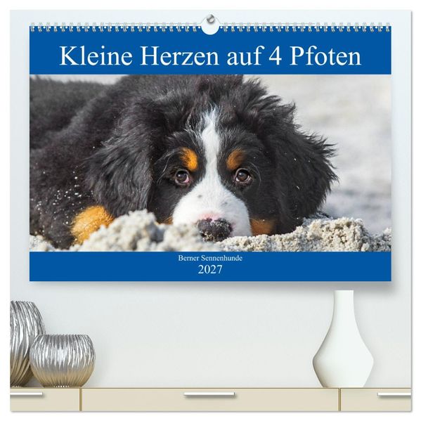 Kleine Herzen auf 4 Pfoten - Berner Sennenhunde (hochwertiger Premium Wandkalender 2027 DIN A2 quer) Kunstdruck in Hochglanz