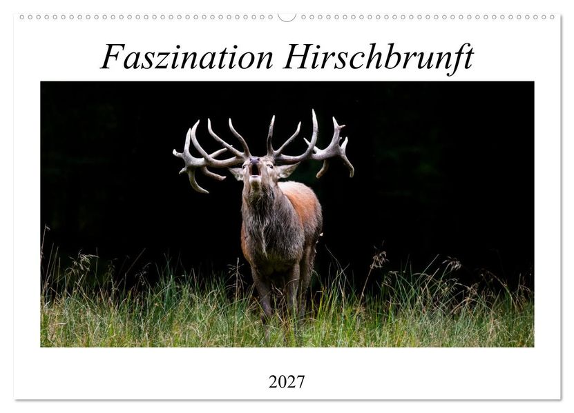 Faszination Hirschbrunft (Wandkalender 2027 DIN A2 quer) CALVENDO Monatskalender