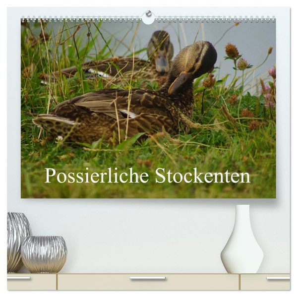 Possierliche Stockenten (hochwertiger Premium Wandkalender 2027 DIN A2 quer) Kunstdruck in Hochglanz