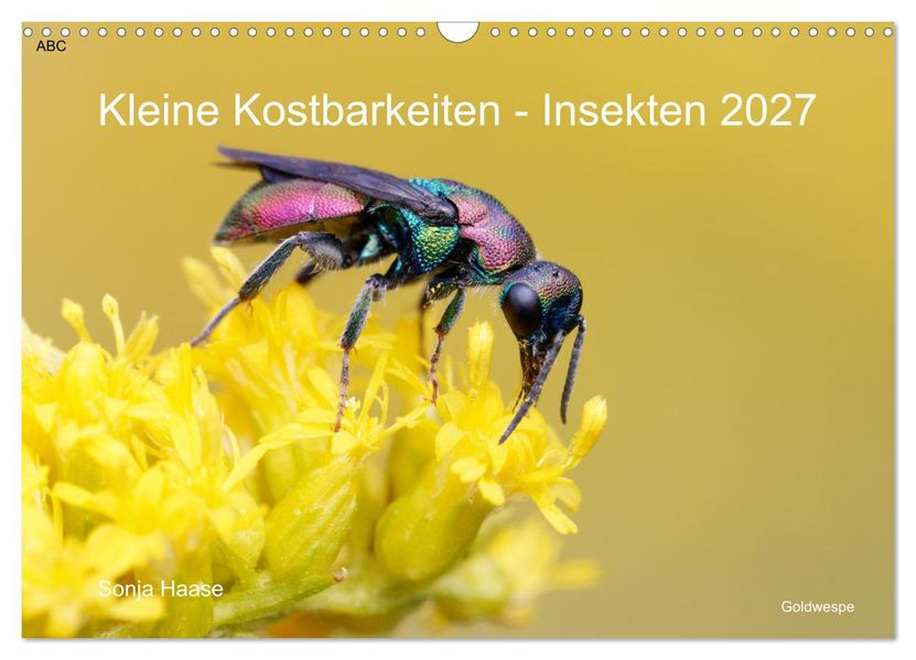 Kleine Kostbarkeiten Insekten (Wandkalender 2027 DIN A3 quer) CALVENDO Monatskalender