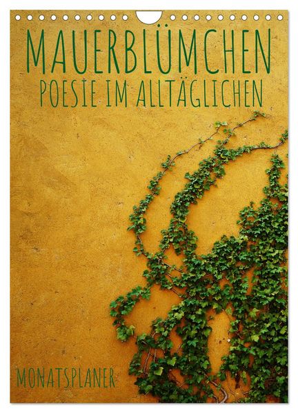 Mauerblümchen - Poesie im Alltäglichen als Monatsplaner (Wandkalender 2027 DIN A4 hoch) CALVENDO Monatskalender