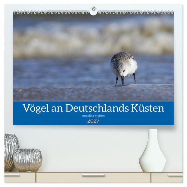Vögel an Deutschlands Küsten (hochwertiger Premium Wandkalender 2027 DIN A2 quer) Kunstdruck in Hochglanz