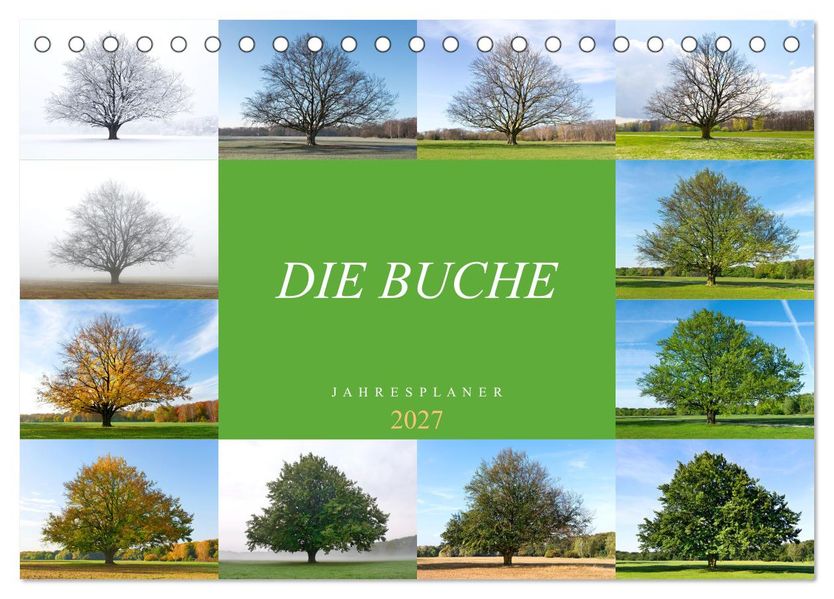 Die Buche: Jahresplaner 2027 (Tischkalender 2027 DIN A5 quer) CALVENDO Monatskalender