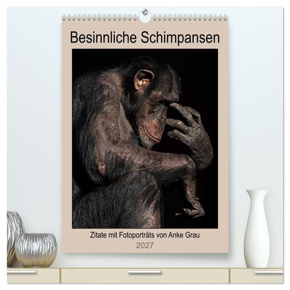 Besinnliche Schimpansen (hochwertiger Premium Wandkalender 2027 DIN A2 hoch) Kunstdruck in Hochglanz