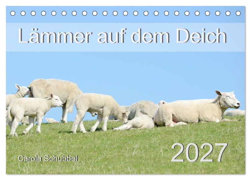 Lämmer auf dem Deich (Tischkalender 2027 DIN A5 quer) CALVENDO Monatskalender