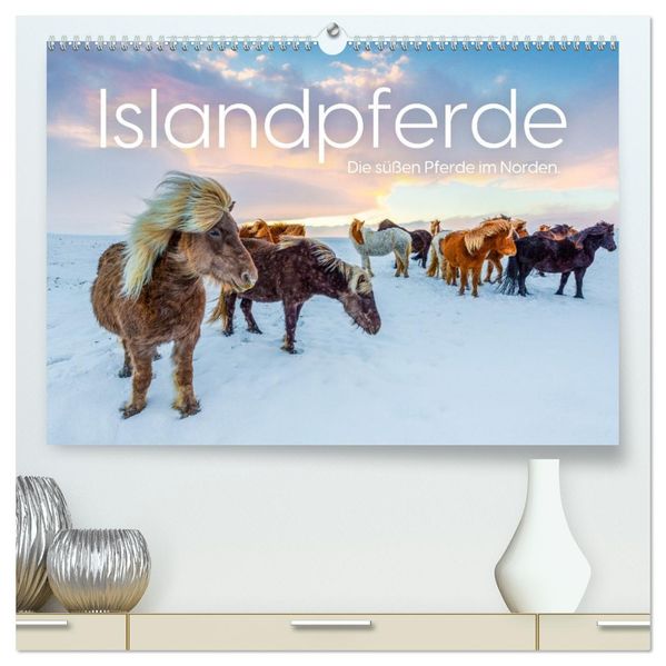 Islandpferde - Die süßen Pferde im Norden. (hochwertiger Premium Wandkalender 2027 DIN A2 quer) Kunstdruck in Hochglanz