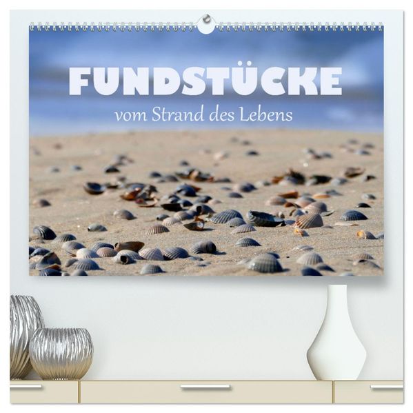 Fundstücke vom Strand des Lebens (hochwertiger Premium Wandkalender 2027 DIN A2 quer) Kunstdruck in Hochglanz