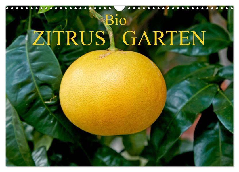 Bio Zitrus Garten (Wandkalender 2027 DIN A3 quer) CALVENDO Monatskalender