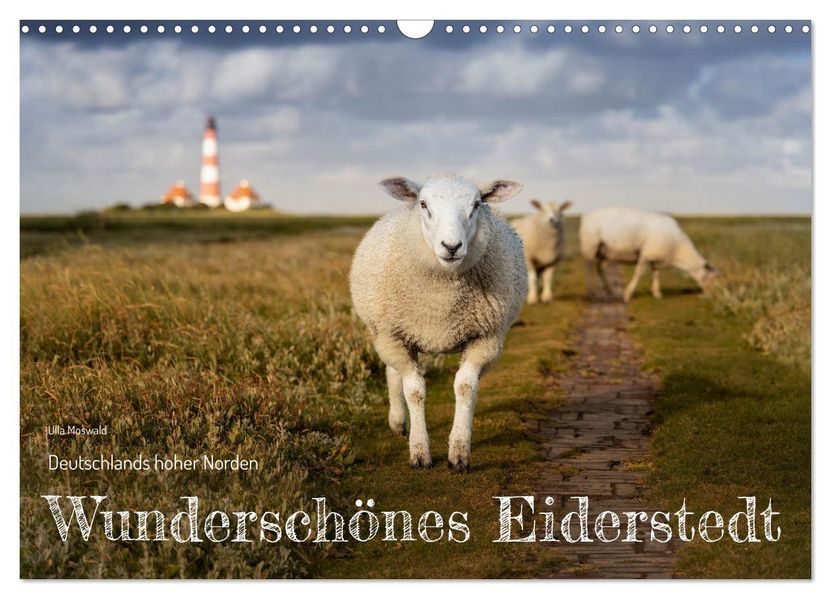 Wunderschönes Eiderstedt (Wandkalender 2027 DIN A3 quer) CALVENDO Monatskalender