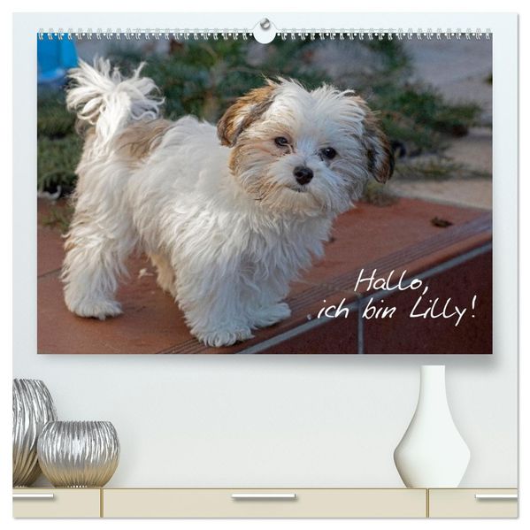 Hallo ich bin Lilly (hochwertiger Premium Wandkalender 2027 DIN A2 quer) Kunstdruck in Hochglanz