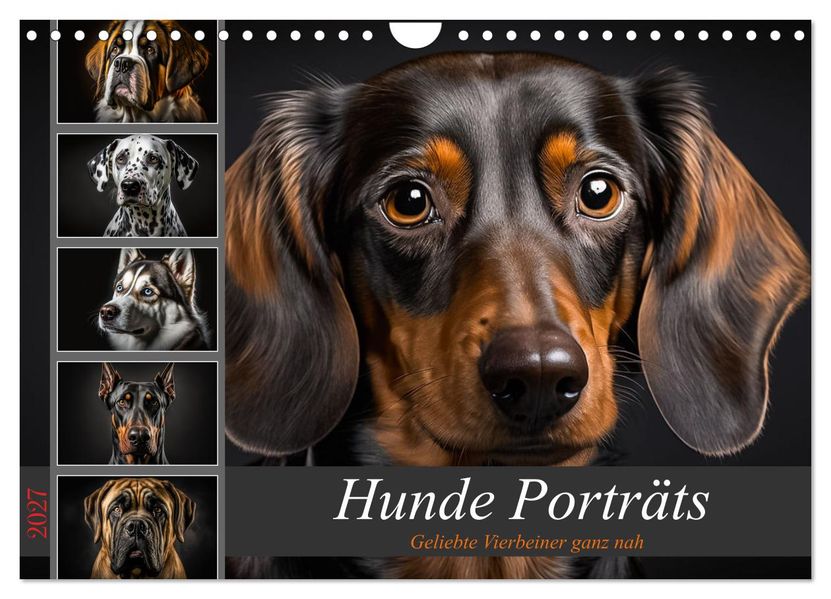 Hunde Porträts (Wandkalender 2027 DIN A4 quer) CALVENDO Monatskalender