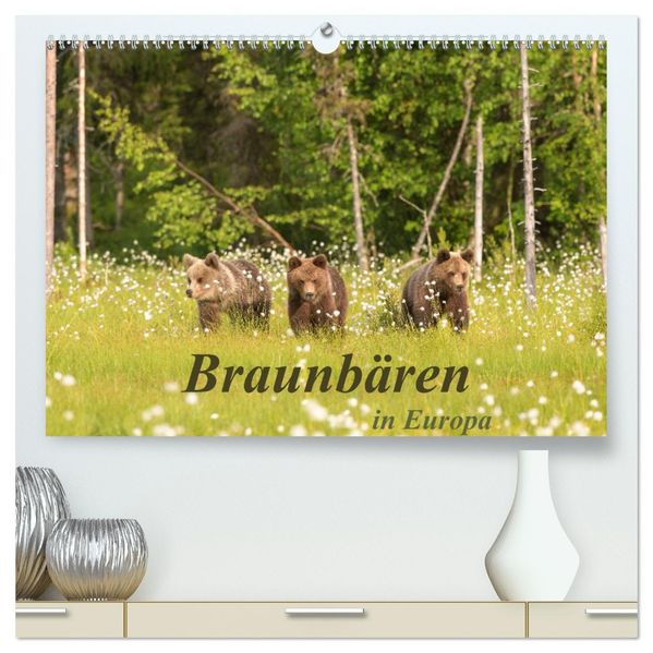 Braunbären in Europa (hochwertiger Premium Wandkalender 2027 DIN A2 quer) Kunstdruck in Hochglanz