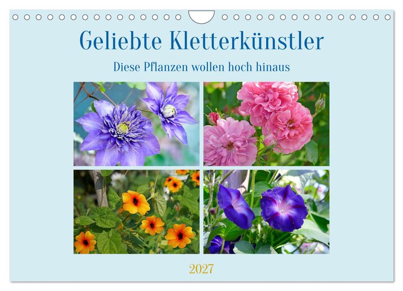 Geliebte Kletterkünstler (Wandkalender 2027 DIN A4 quer) CALVENDO Monatskalender