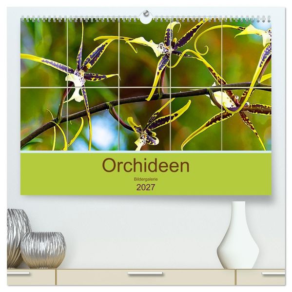 Orchideen Bildergalerie (hochwertiger Premium Wandkalender 2027 DIN A2 quer) Kunstdruck in Hochglanz
