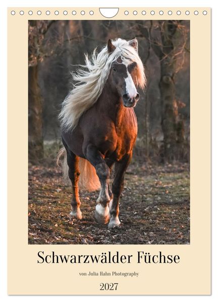 Schwarzwälder Füchse von Julia Hahn Photography (Wandkalender 2027 DIN A4 hoch) CALVENDO Monatskalender